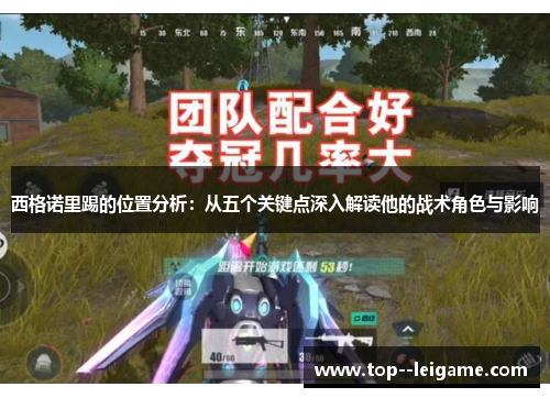 西格诺里踢的位置分析：从五个关键点深入解读他的战术角色与影响
