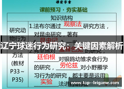 辽宁球迷行为研究：关键因素解析