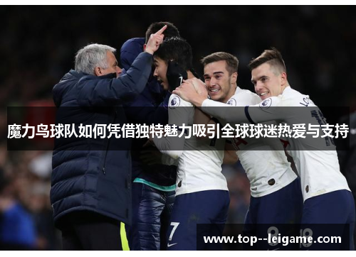 魔力鸟球队如何凭借独特魅力吸引全球球迷热爱与支持