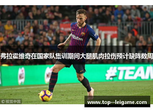 弗拉霍维奇在国家队集训期间大腿肌肉拉伤预计缺阵数周